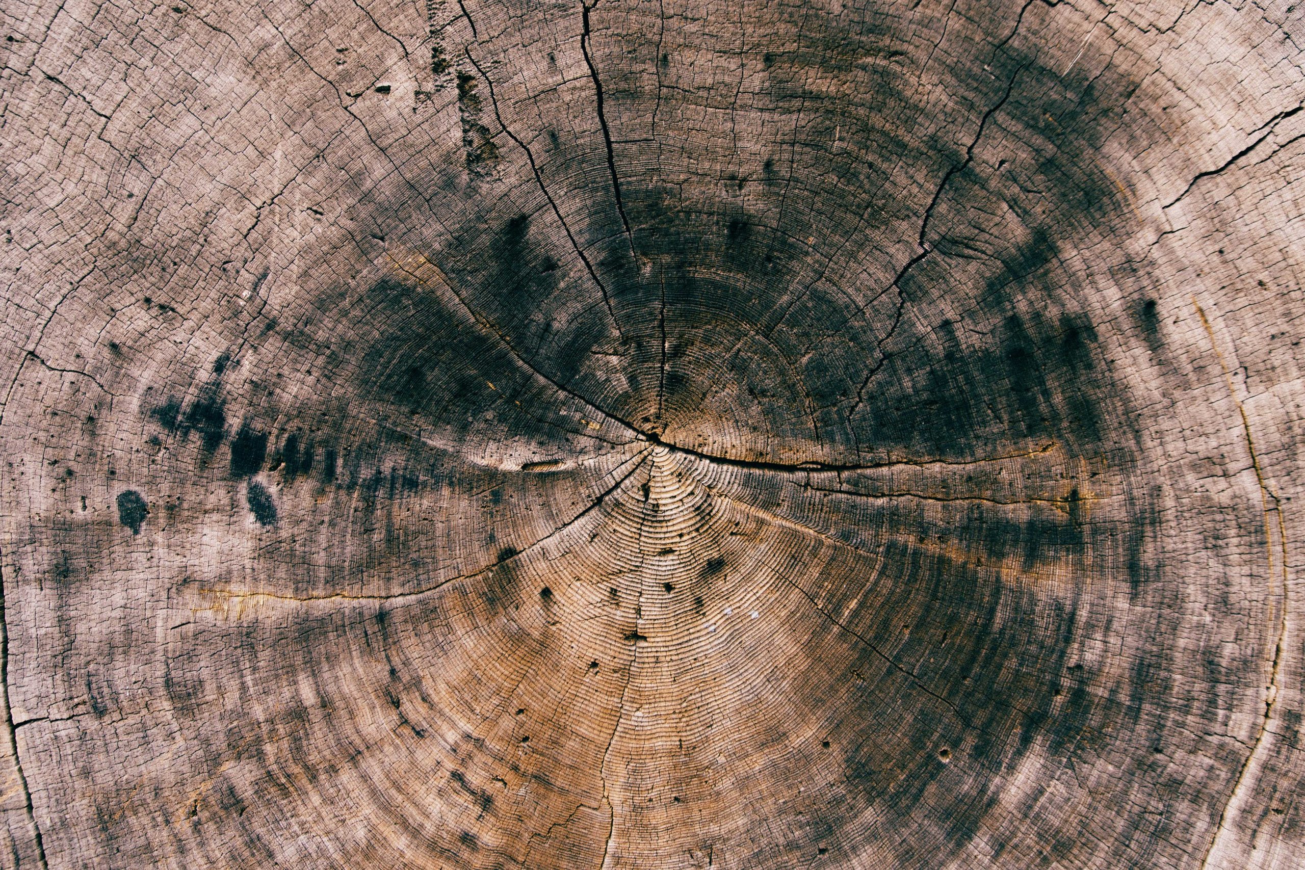 1_patrick-fore-cvfv_hxr0-m-unsplash_optimized