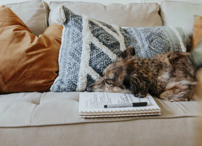 corinne-kutz-TSyfmrh4Fdk-unsplash@2x